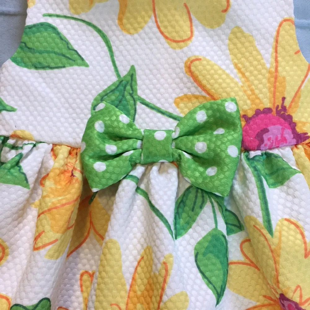 Bonnie Baby Floral Fit & Flare Dress
